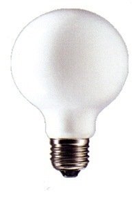 Bombilla globo Incandescente mate 100W