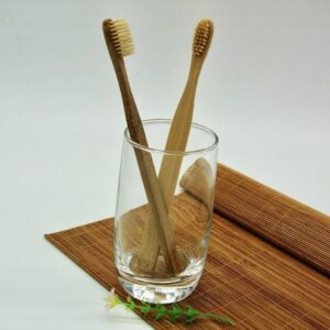 Cepillo de Dientes madera